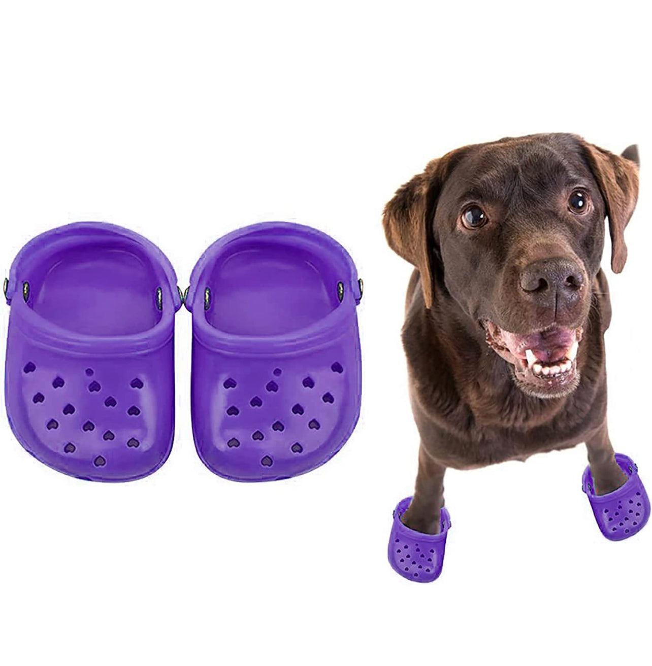 Crocs Para Mascota Zapatos – Accesorios-Mexicali