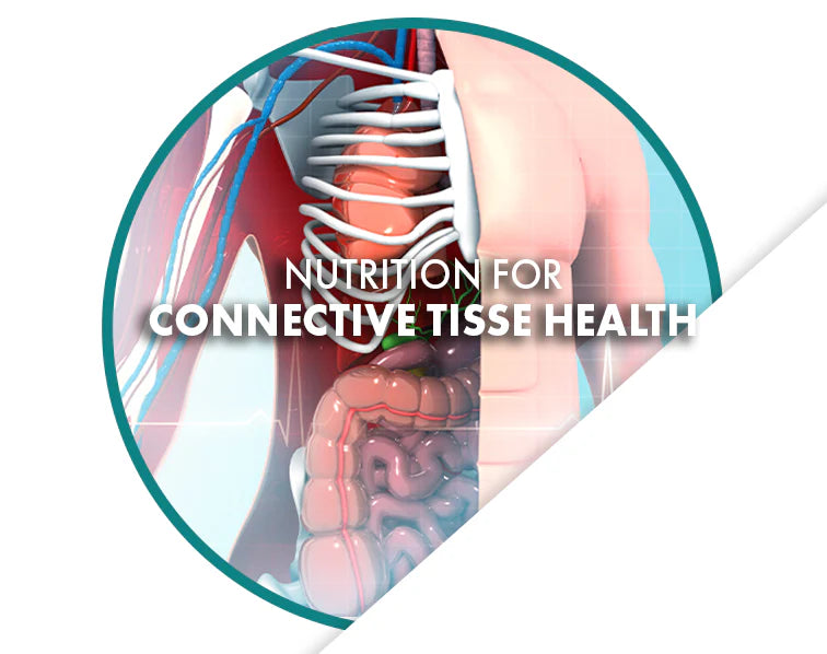 Nutrition for Connective Tissue Health.webp__PID:99374c6e-e92e-4850-95bf-de7619899369