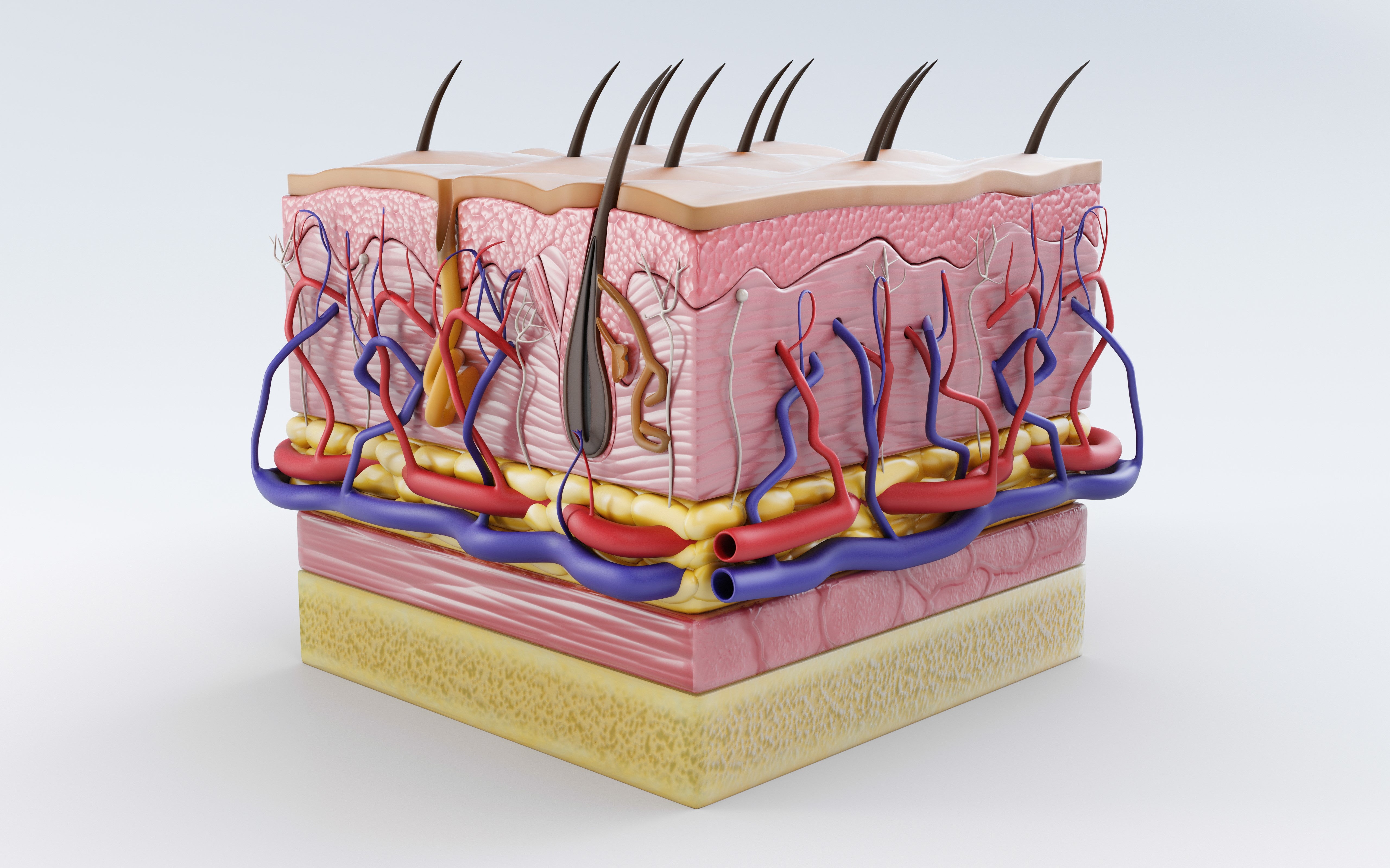 3d skin layers 1.20