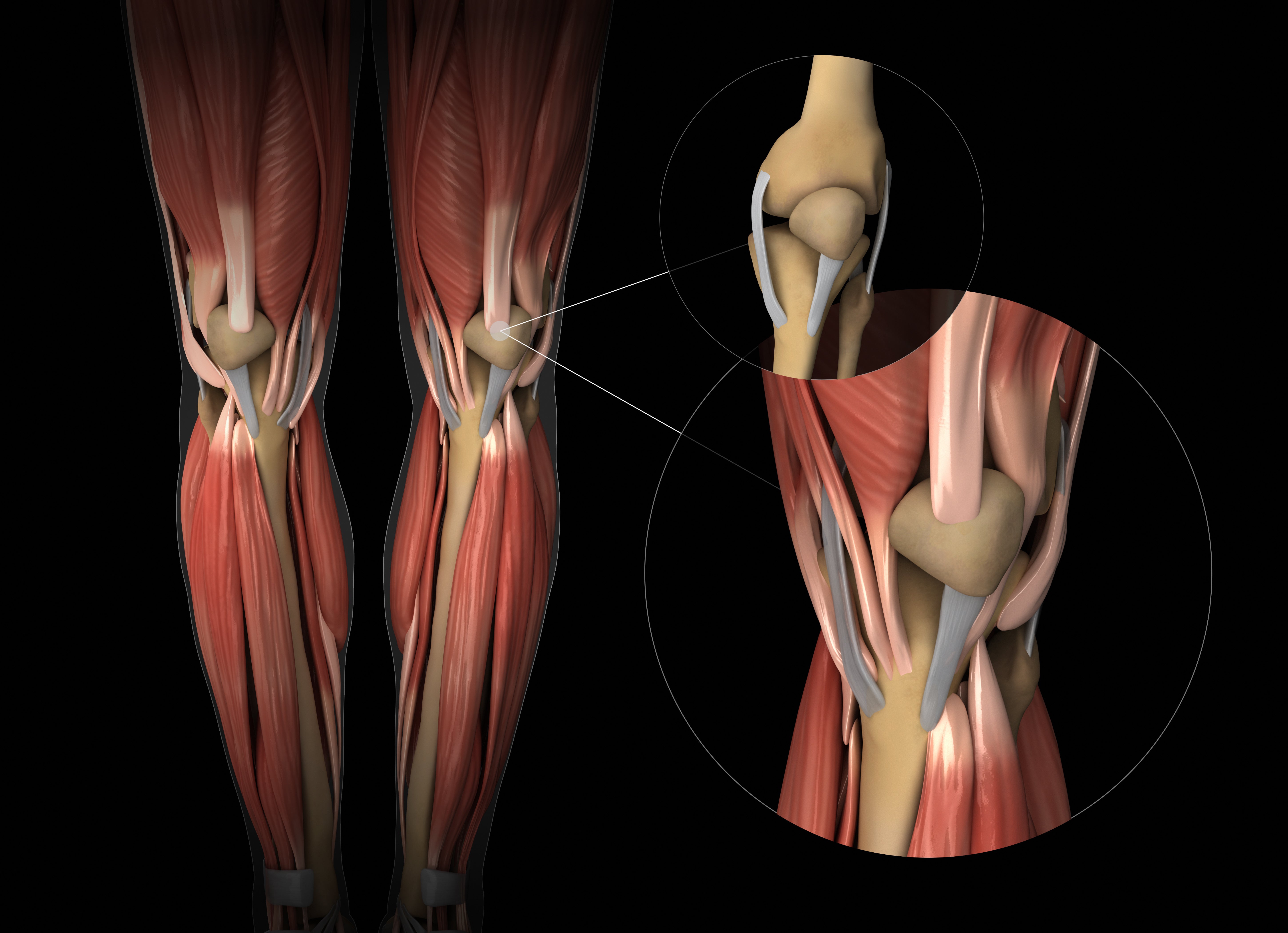 Nutrition for Soft Tissue Health - Tendons, Ligaments, & Fascia – Resync