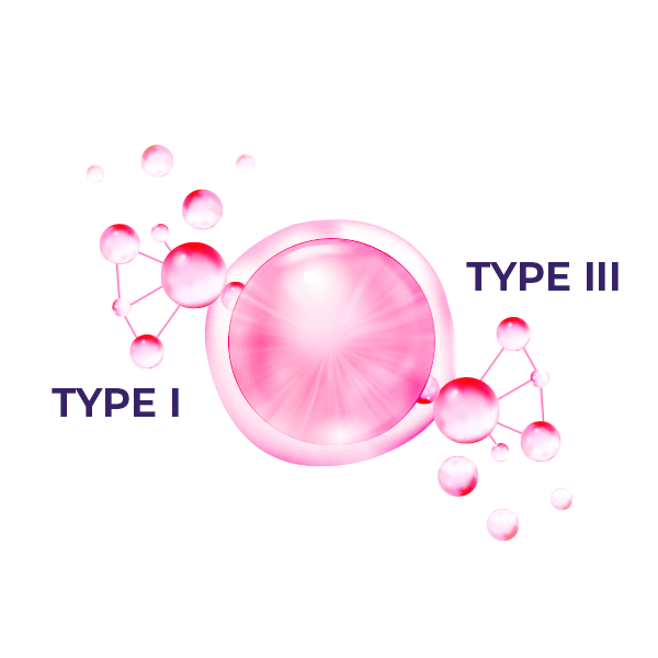 collagen types I & III (image of molecule) 