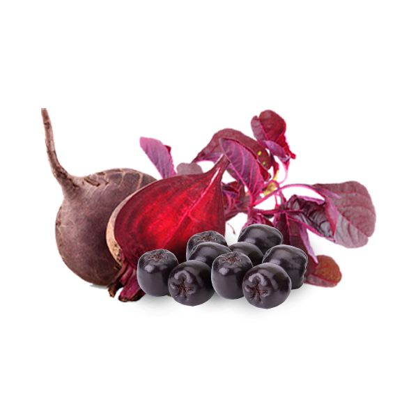 Resync signature nitric oxide blend (red spinach, red beets & aronia berry)