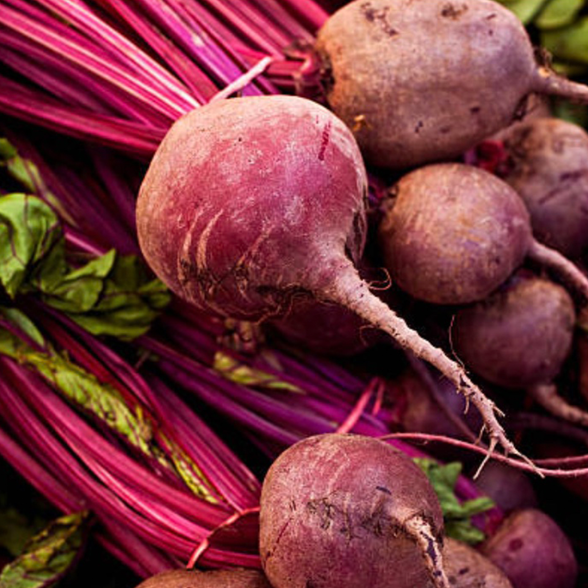 beet root 