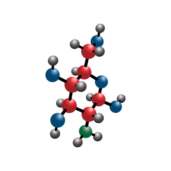 glucosamine molecules