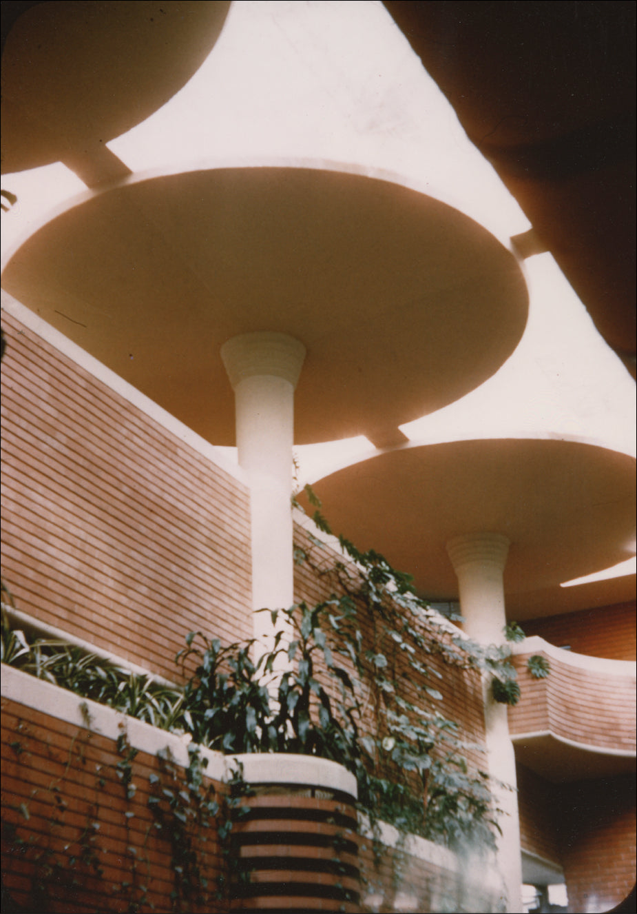 An image of the interior of the SC Johnson Wax Building. White columns reach to the ceiling. There is a step-like shape where the column meets the ceiling; the same shape of the Racine Planter