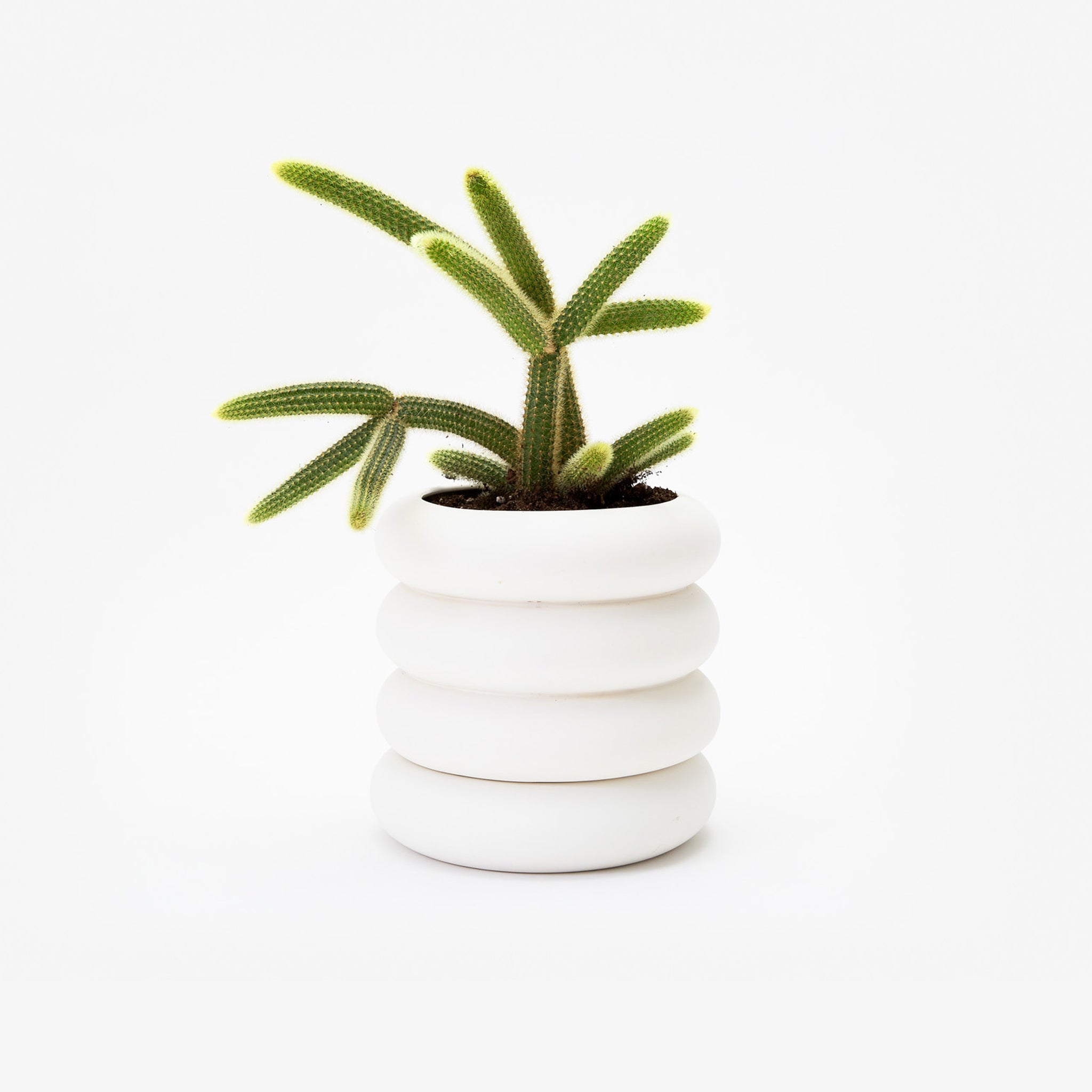 Bamboo Bowl in Tall Mini – Kier Design Interiors