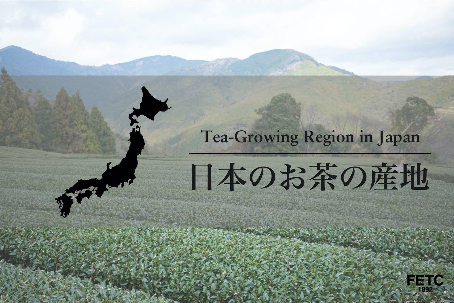 日本のお茶の産地 Far East Tea Company