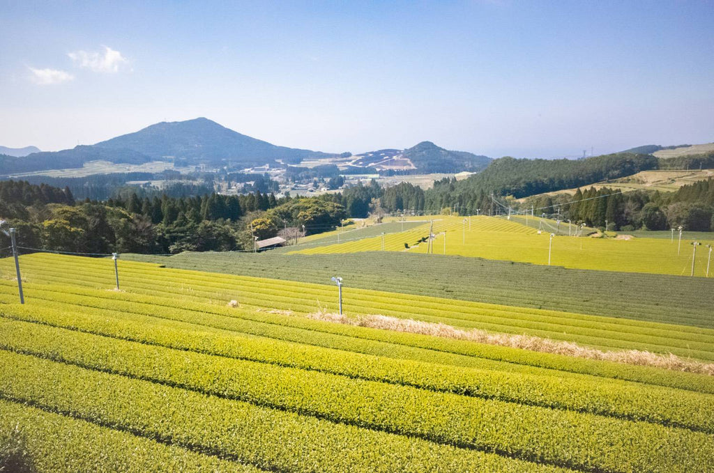 Farmland of Kagoshima Prefecture