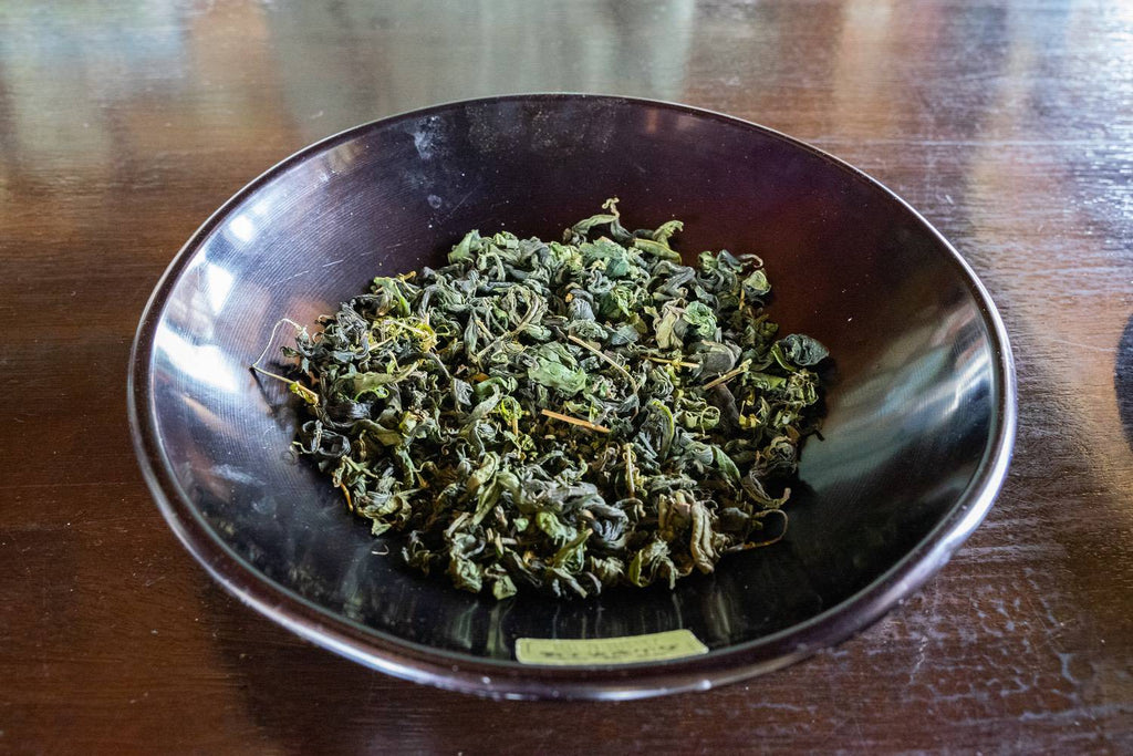 Oolong tea made from green tea cultivar
