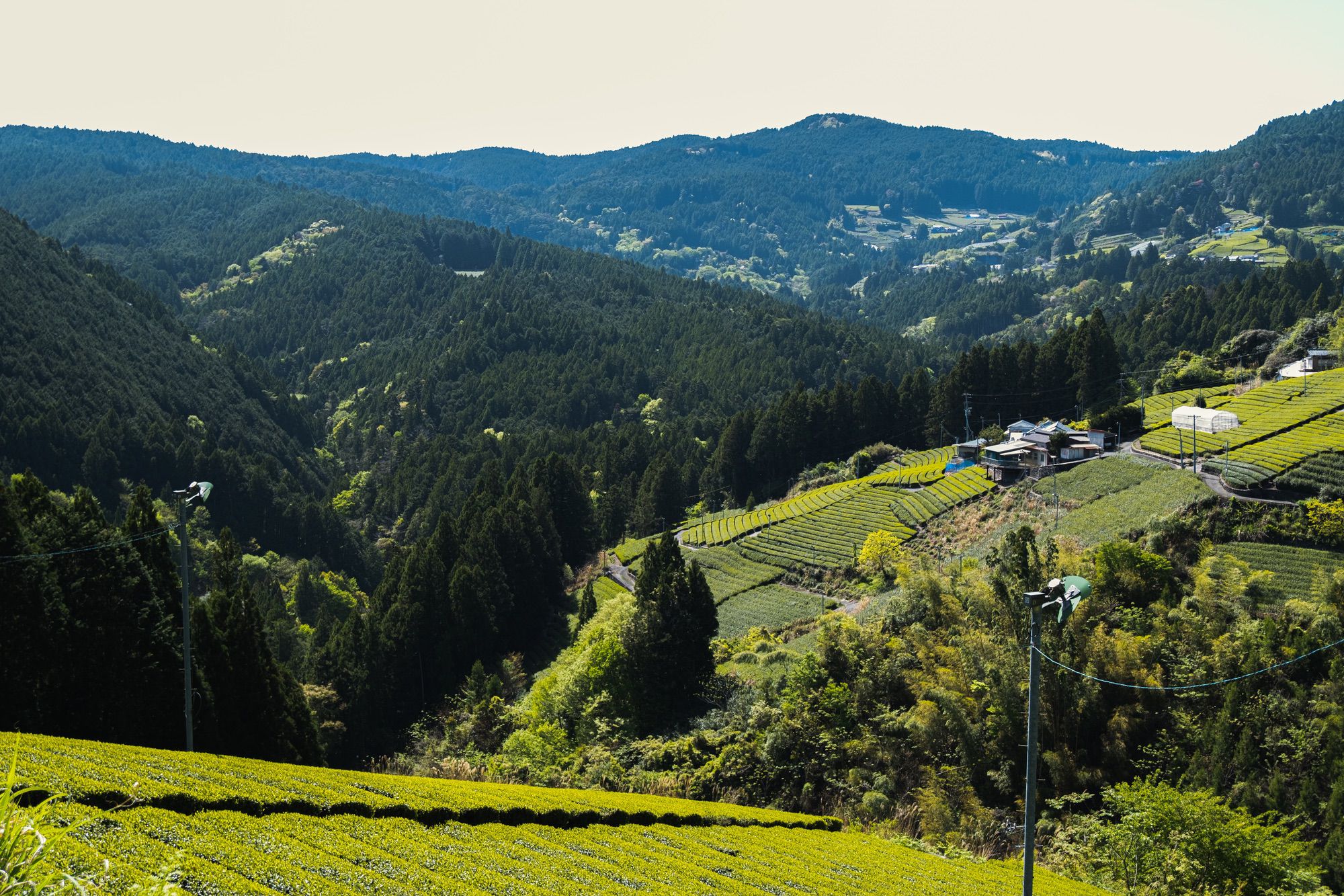 静岡県川根本町