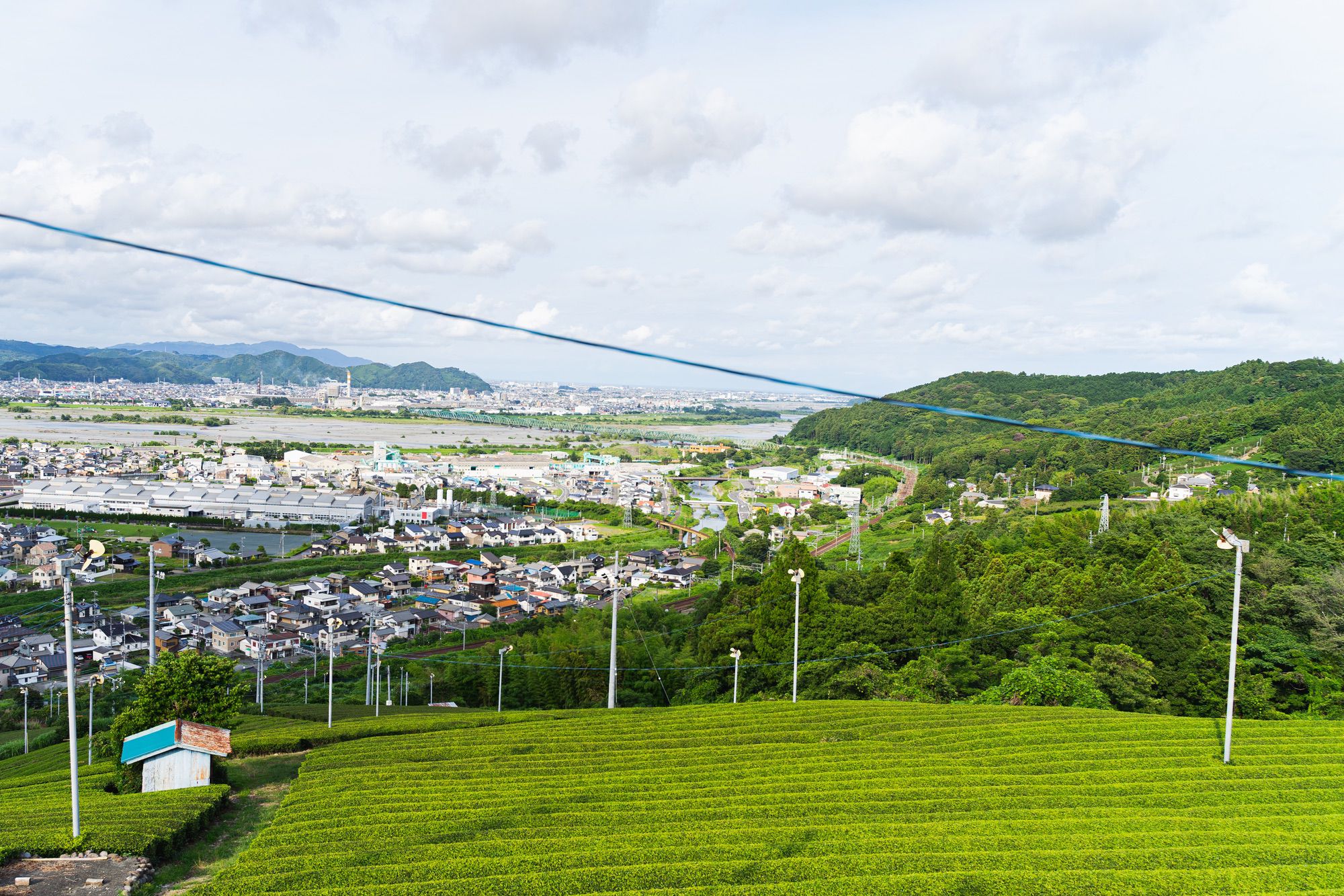 牧之原台地の茶畑