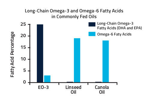 Graph showing the amount of long-chain fatty acids in common omega-e sources