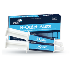 B-Quiet Paste Product Image