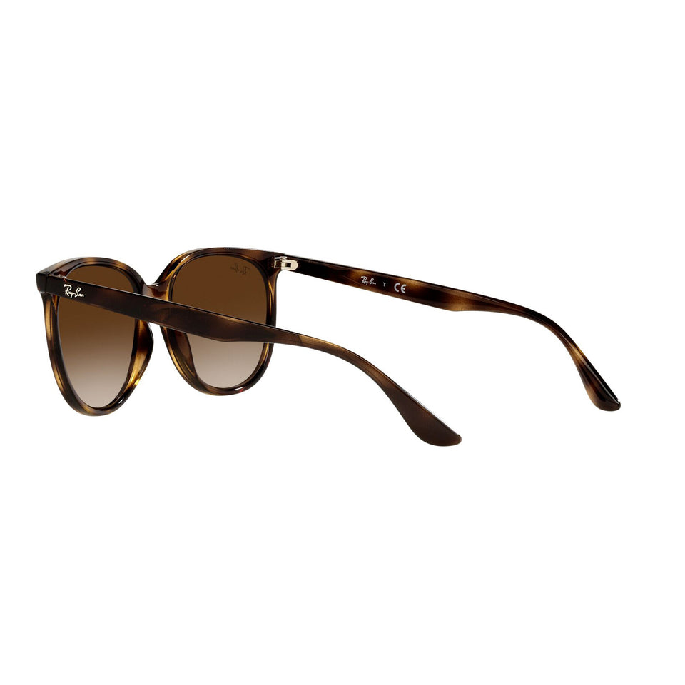 Ray-Ban 4378 Womens Sunglasses | Bupa Optical