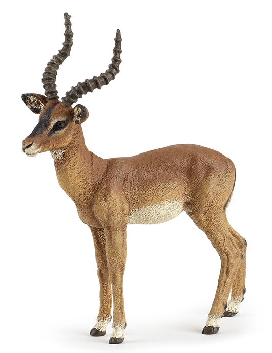 papo kudu