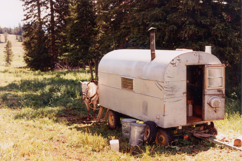 Merino Wool Layers Sheep Wagon