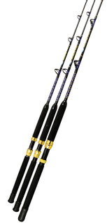 Fishtech 10ft Telescopic Rod with 6000 Spin Reel