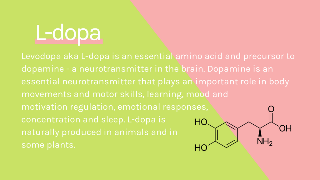 What is L-dopa?