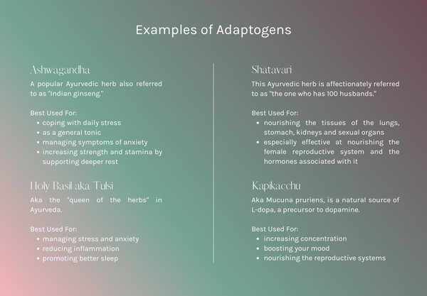 organic traditions blog post image your guide to adaptogens