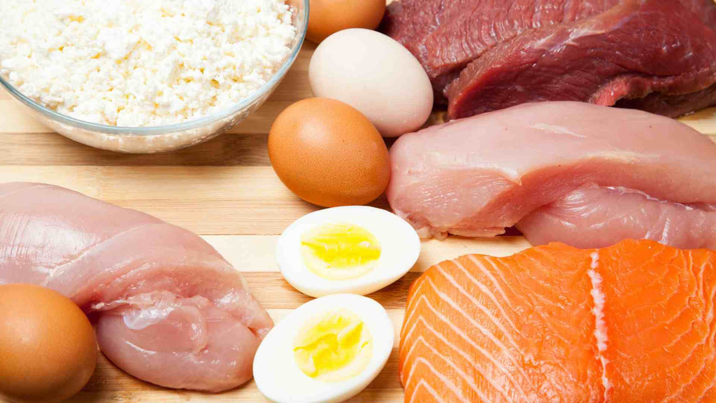 a variety of healthy protein sources