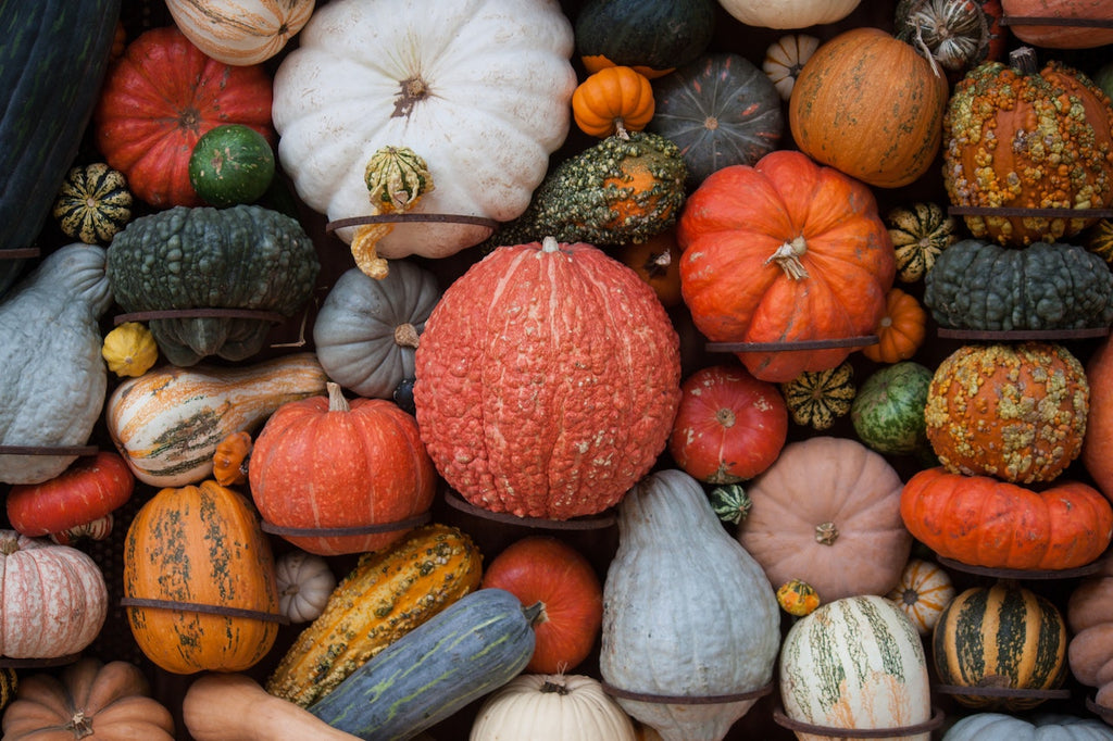 pumpkins of different colours and types
