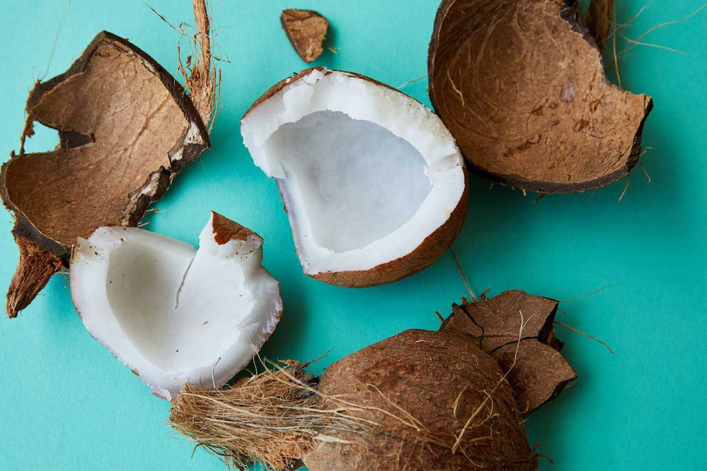 opened coconut