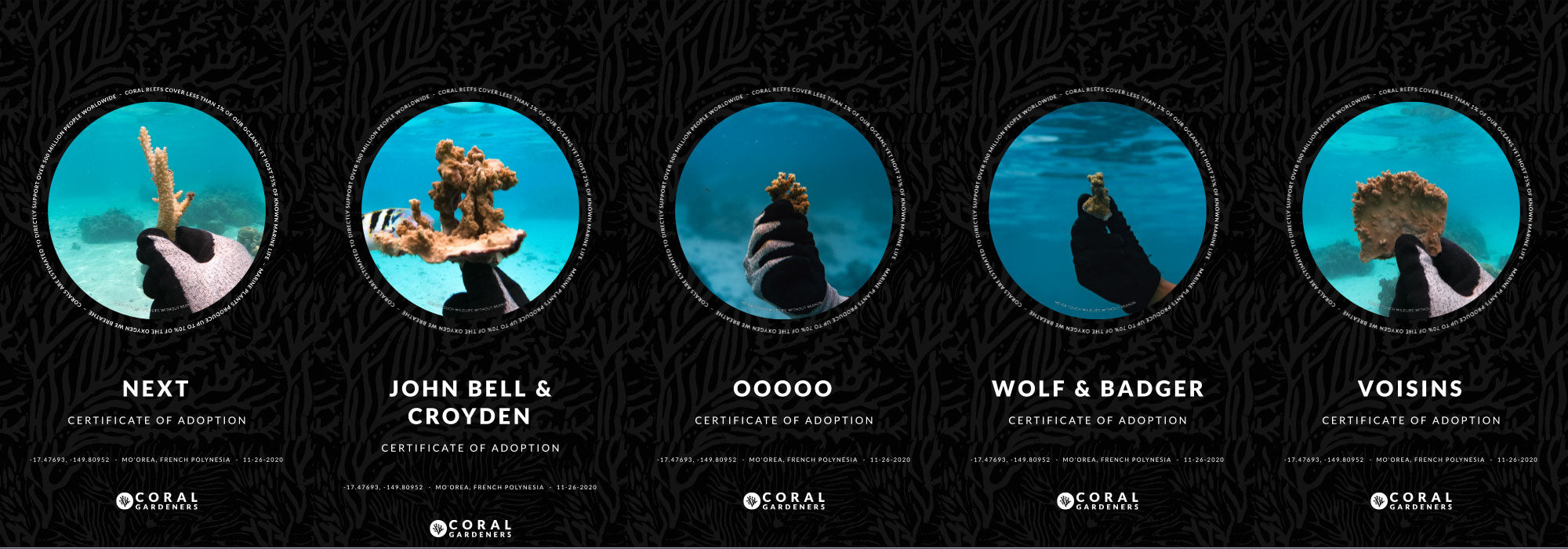 Coral reefs adopted in names of NEXT, OOOOO, John Bell & Croyden, Voisins, Wolf & Badger