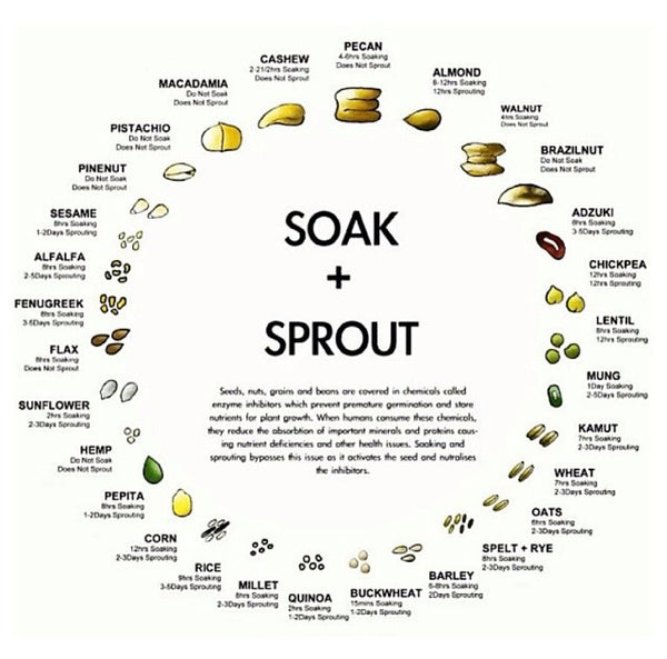 Soaking + Sprouting Nuts, Seeds + Grains {easy chart!} – Philosophie