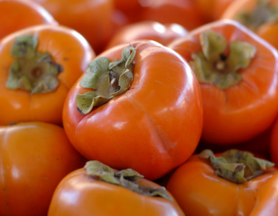 Fall Produce persimmons