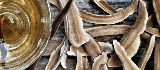 Health Benefits of Reishi Mushroom