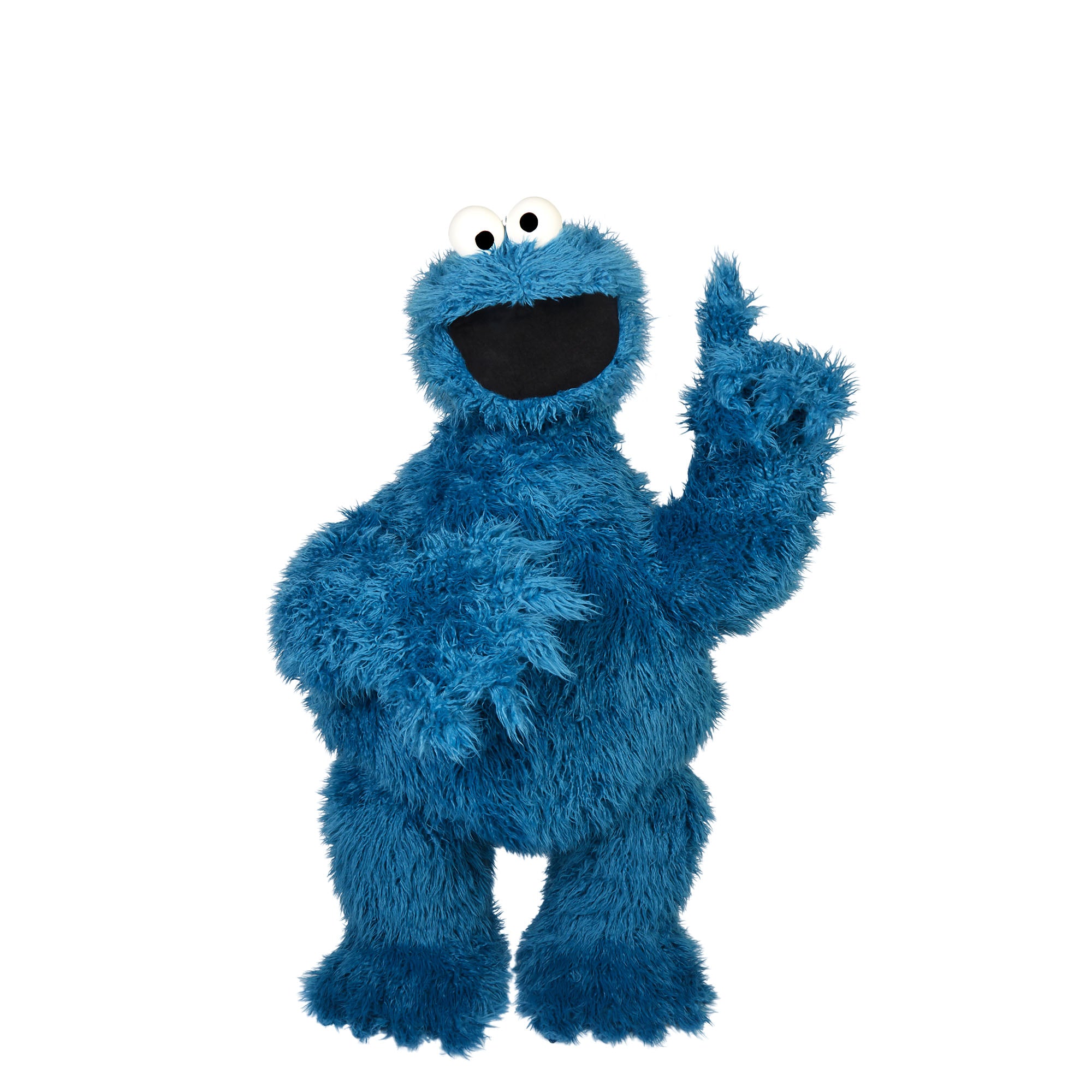 CookieMonster0024_updated_2000x.jpg