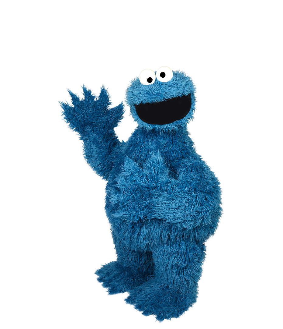 CookieMonster0045_updated_2000x.jpg