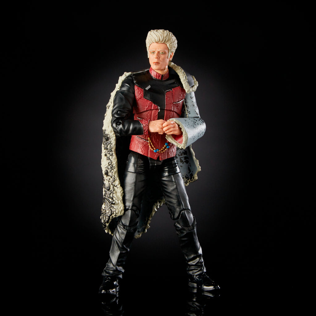 the collector action figure