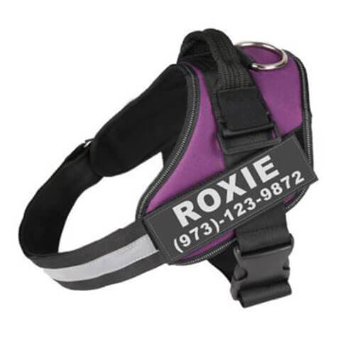 personalized dog harness