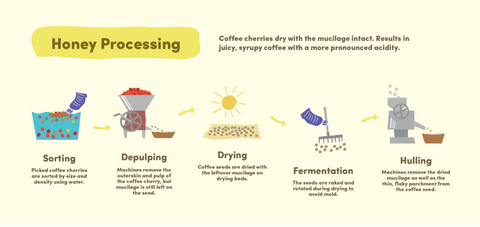 Caffena: Honey Process Coffee