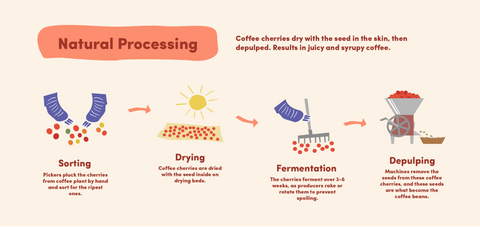 Caffena Natural Process Coffee