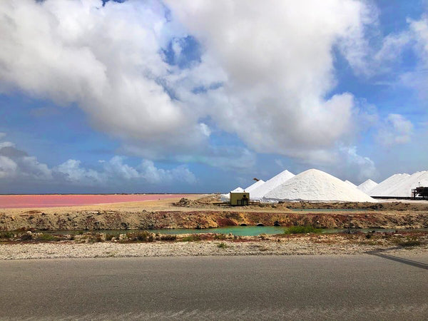 Salt flats in Bonaire