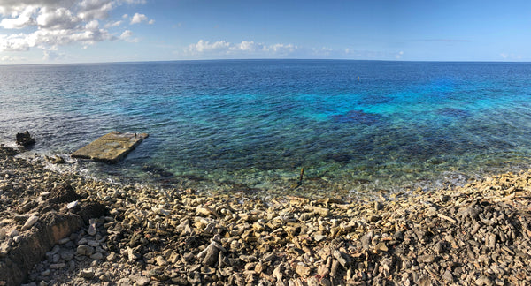 Karpata dive site in Bonaire