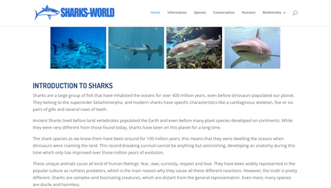 Shark World site