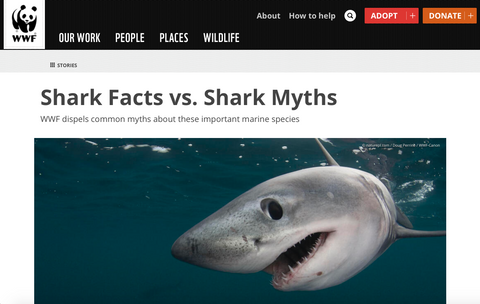 Shark facts versus shark myths