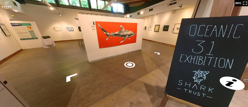 Shark Trust UK's Oceanic 31 exhibition on display at Trebah Gardens