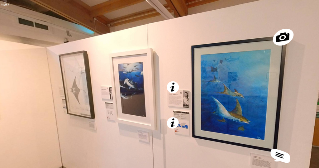 Three paintings of marine life on the wall including one by Grace Marquez