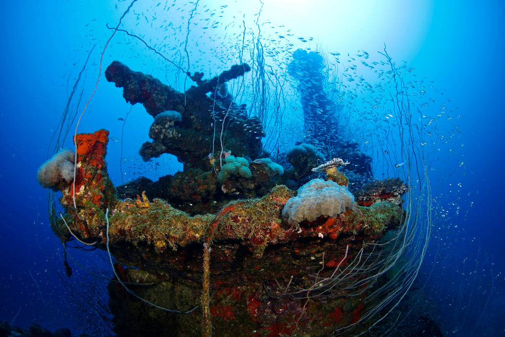 Coral encrusted gun and platform on conning tower of USS Apogon in Bikini Atoll