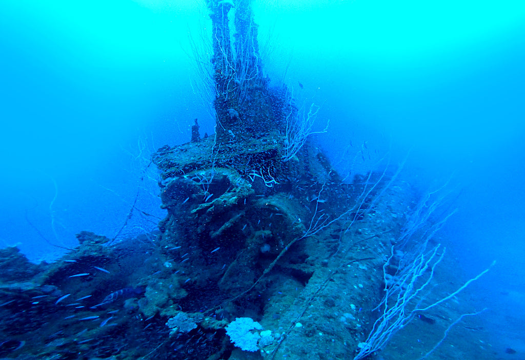 Conning tower of the U.S.S. Apogon submarine engulfed in fish and corals