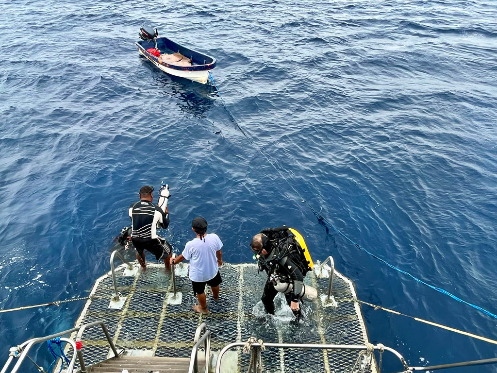 The dive platform of the Taka Master with crew helping get divers in the water