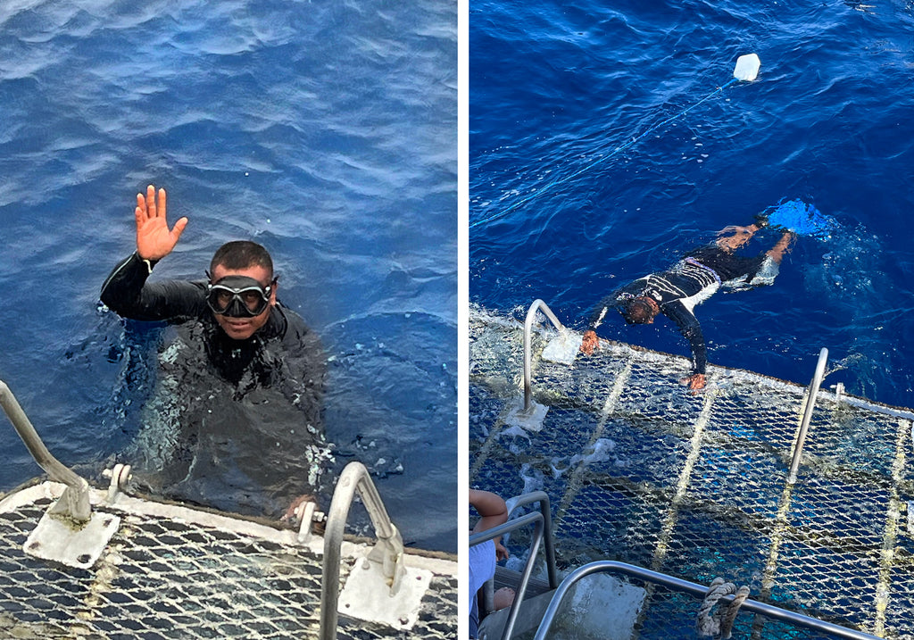 Photo of free diver and in-water support person Munson on the surface of the water by the dive platform