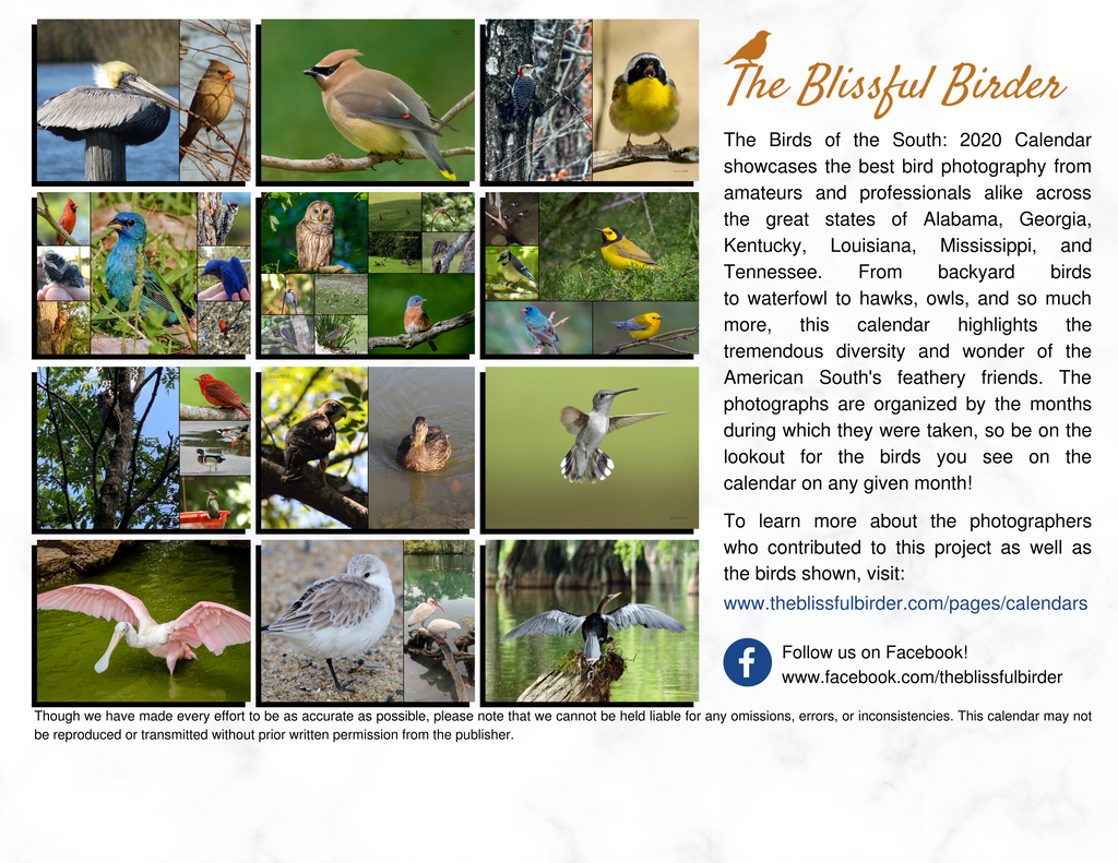 The Birds of the South 2020 Calendar The Blissful Birder