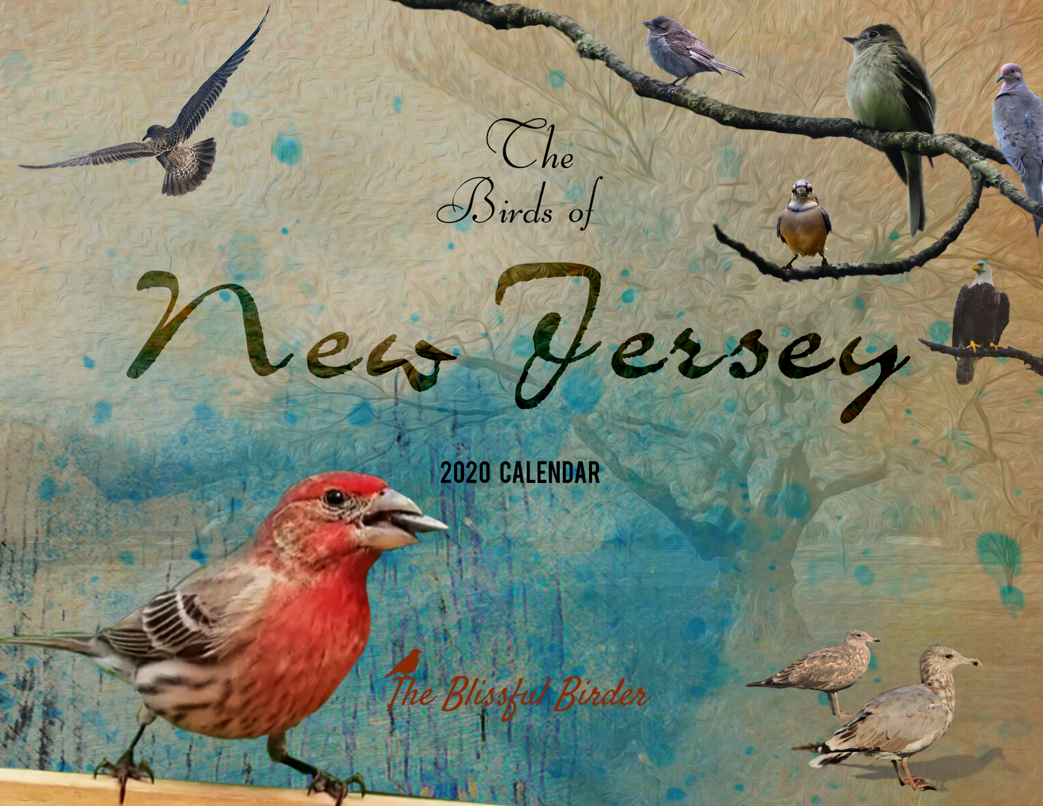 jersey birds