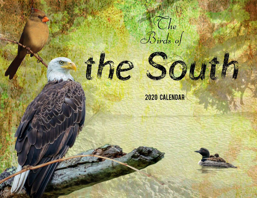 The Birds of the South 2020 Calendar The Blissful Birder