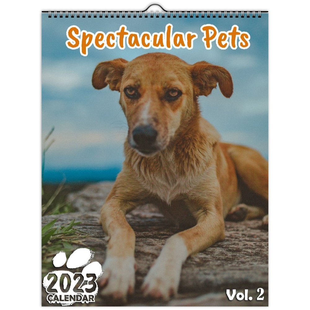 Spectacular Pets Volume Two 2023 Wall Calendar The Blissful Birder